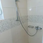 Zvone1 فيلي رات